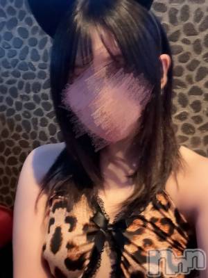 🐆……