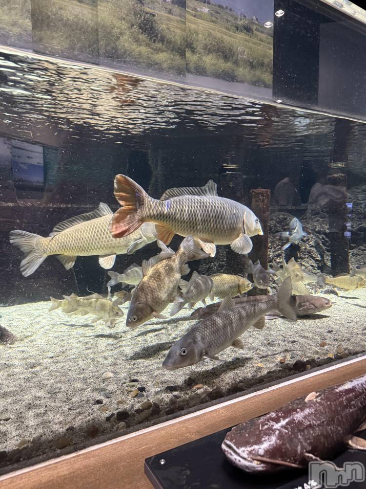 ��ȯ�ĥ���Х��顦�����double(���֥�) �ߤ���9��8���̥�֥����ֿ�²�ۡ뎥🐠��