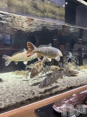 ��ȯ�ĥ���Х��顦�����double(���֥�) �ߤ���9��8���̥�֥����ֿ�²�ۡ뎥🐠��