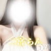 【体入】二宮らん