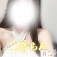 【体入】二宮らん