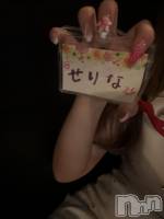 ��Ʋ���ʥå��������륺�С�Sugar Rabbits(���奬����ӥå�) �����(23)��7��21���̥�֥����ֽжС�