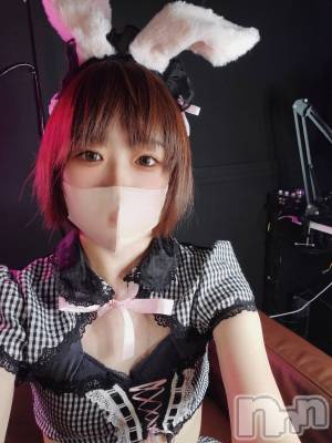 新潟デリヘル 夢兎～YUMEUSAGI～(ユメウサギ) すず(24)の7月22日写メブログ「初めまして😊」