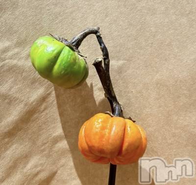 �����������Х��顦����ֽϽ�����Х��� Lips(���奯���祭��Х����åץ�) ���ʤ�9��25���̥�֥����֤��ʤǤ�🙂‍↕️��