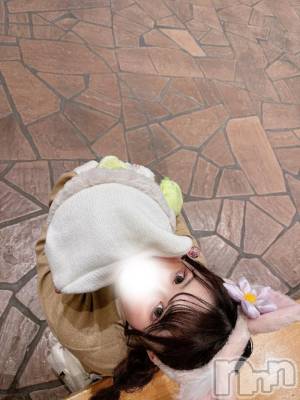 上越デリヘル HONEY(ハニー) ひかり(♪♪)(特別料金)(19)の7月29日写メブログ「お礼リピありがとう🌟」