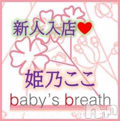 新潟メンズエステbaby's breath(ベイビーズブレス) 姫乃ここ【新人】の7月26日写メブログ「初めまして」