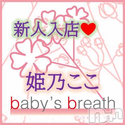 姫乃ここ【新人】(ヒミツ) スリーサイズB().W.H。新潟メンズエステ baby's breath(ベイビーズブレス)在籍。