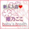 姫乃ここ【新人】