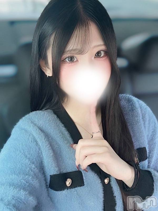 此花つばき