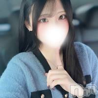 此花つばき