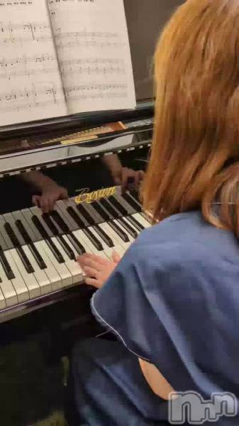 紫音です