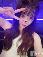 ��Į����Х��顦�����V-niigata-(�֥��˥�����) ���ܥ�(20)��9��21���̥�֥����ֹ�ȱ🤭��