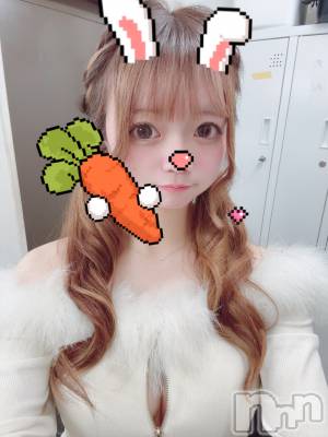 ��Į����Х��顦�����V-niigata-(�֥��˥�����) ���ܥ�(20)��9��9���̥�֥����֤�����ߤ���🤤��
