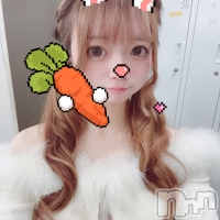V-niigata-