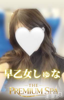 【体入】早乙女しゅな(ヒミツ) スリーサイズB().W.H。新潟メンズエステ THE PREMIUM SPA(ザ プレミアムスパ)在籍。