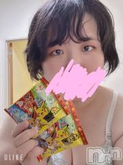 長岡デリヘル奥様特急 長岡店(オクサマトッキュウナガオカテン) はるの(28)の8月22日写メブログ「本日もいますよー！」