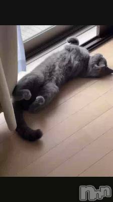 ���ڤ�ǭ�Ǥ���