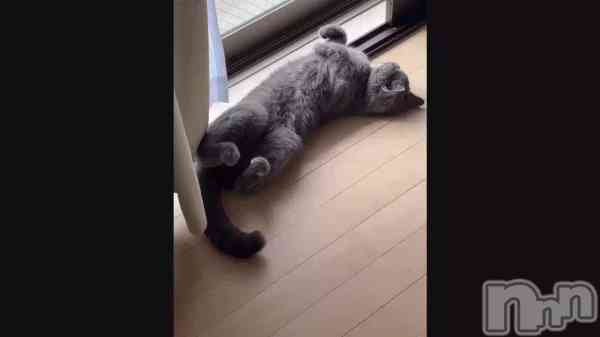 �ָ��ڤ�ǭ�Ǥ����