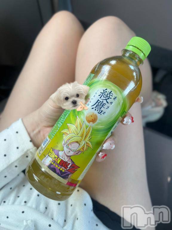 上越デリヘルHONEY(ハニー)ゆの(♪♪)(特別料金)(23)の2026年8月25日写メブログ「今日は、、！」
