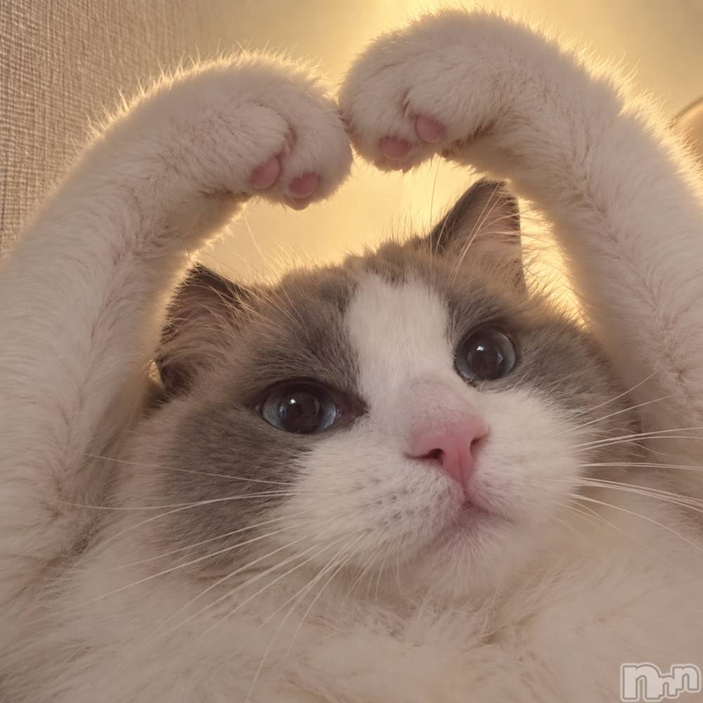 ���ܱ�������Х��顦���������(�����) �����10��1���̥�֥�����🐱��