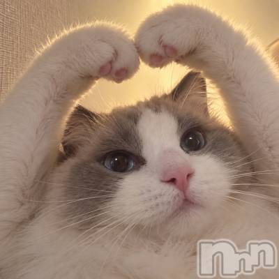 ���ܱ�������Х��顦���������(�����) ����(19)��10��1���̥�֥�����🐱��