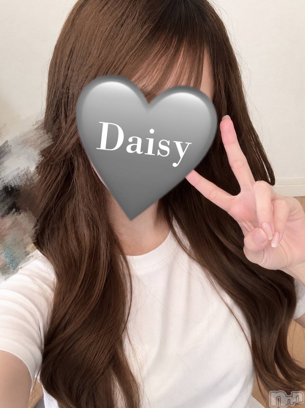 Ĺ�����������襳��ѥ˥��󥯥��Ĺ������ѥ˥���-Daisy- �ǥ����� (Ĺ����ȯ ���㸩����)(�ʥ���������ѥ˥���ǥ�����) ��2026ǯ8��23���̥�֥������������γڤ���🎶��