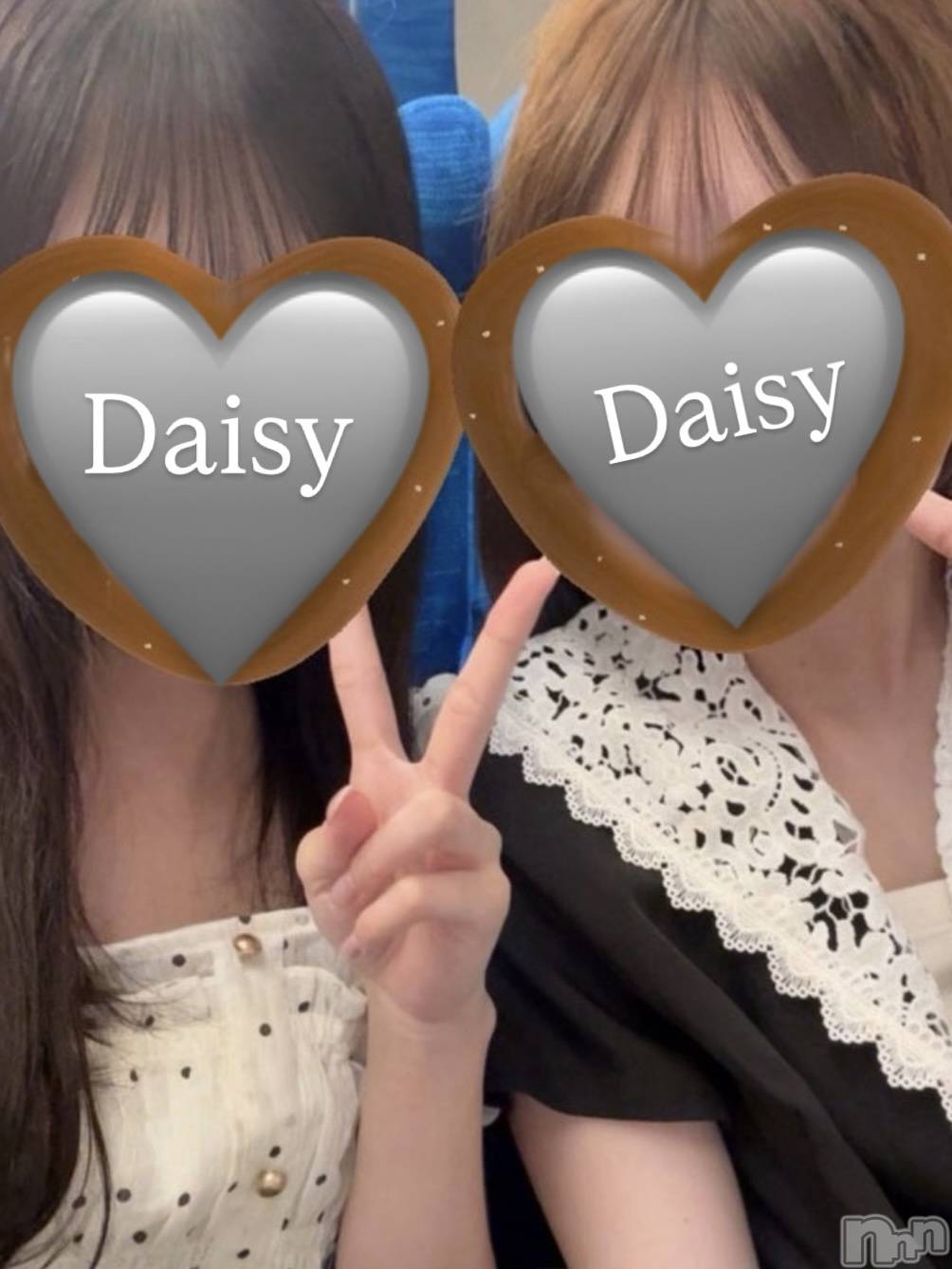 Ĺ�����������襳��ѥ˥��󥯥��Ĺ������ѥ˥���-Daisy- �ǥ����� (Ĺ����ȯ ���㸩����)(�ʥ���������ѥ˥���ǥ�����) ��2026ǯ8��26���̥�֥��������ɤ�������👥💕��