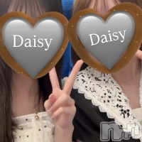 Ĺ������ѥ˥���-Daisy- �ǥ����� (Ĺ����ȯ ���㸩����)