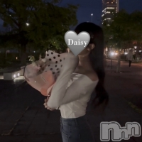 Ĺ������ѥ˥���-Daisy- �ǥ����� (Ĺ����ȯ ���㸩����)
