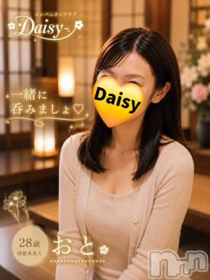 ���ȡ���������(28) ��Ĺ158cm��Ĺ�����������襳��ѥ˥��󥯥�� Ĺ������ѥ˥���-Daisy- �ǥ����� (Ĺ����ȯ ���㸩����)(�ʥ���������ѥ˥���ǥ�����)���ҡ�