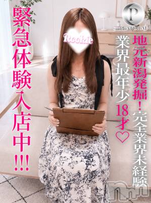 えん☆プラチナ(18) 身長157cm、スリーサイズB84(C).W54.H82。長岡デリヘル ROOKIE(ルーキー)在籍。