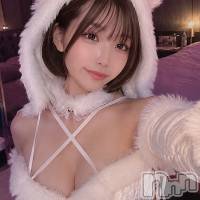 加島ゆち