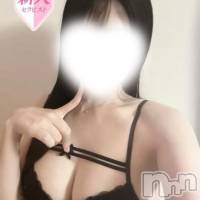 【新人】しいな