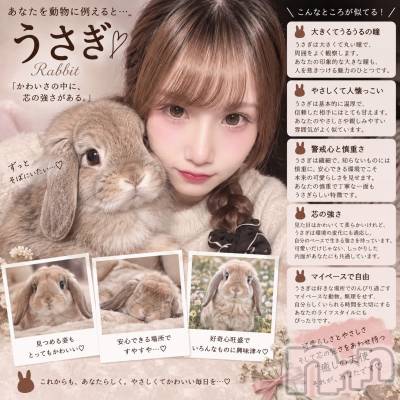 ����������ʥå��������륺�С�Girls Bar Philia(�����륺�С��ե��ꥢ) �����9��17���̥�֥�����ưʪ����🐰��