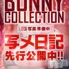 リイナ(22) スリーサイズB().W.H。新潟ソープ 新潟バニーコレクション(ニイガタバニーコレクション)在籍。
