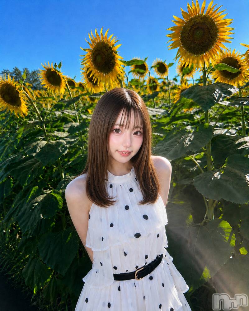 上越デリヘルRICHARD（リシャール）(リシャール) 日織うたは(23)の8月23日写メブログ「向日葵より見て…♡」