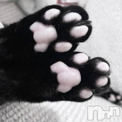 ��ȯ�Ĥˤ��륭��Х��顦����֡�REBIVE(��Х���)�פΥ��㥹�ȡ֤��ȤߡפξҲ����