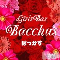 ����������ʥå��������륺�С� Girls Bar Bacchus�������Ź(�Хå��������ޥ��ƥ�) ���ʤβ���(1����)