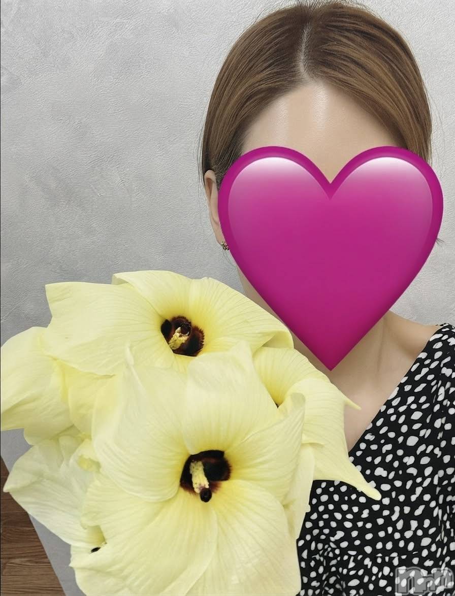 Ĺ�����������襳��ѥ˥��󥯥��Ĺ������ѥ˥���-Daisy- �ǥ����� (Ĺ����ȯ ���㸩����)(�ʥ���������ѥ˥���ǥ�����) ��2026ǯ9��12���̥�֥����֤��֤��äѤ�💐✨��