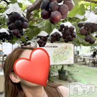Ĺ������ѥ˥���-Daisy- �ǥ����� (Ĺ����ȯ ���㸩����)