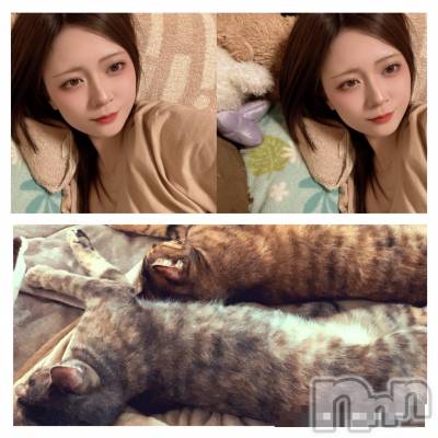 ��� ǯ��25�� / ��Ĺ151cm