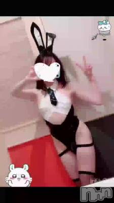 新潟デリヘル Cerulean(セルリアン) 新人☆ひより(28)の10月13日動画「生足バニーガールって需要あるらしいね」