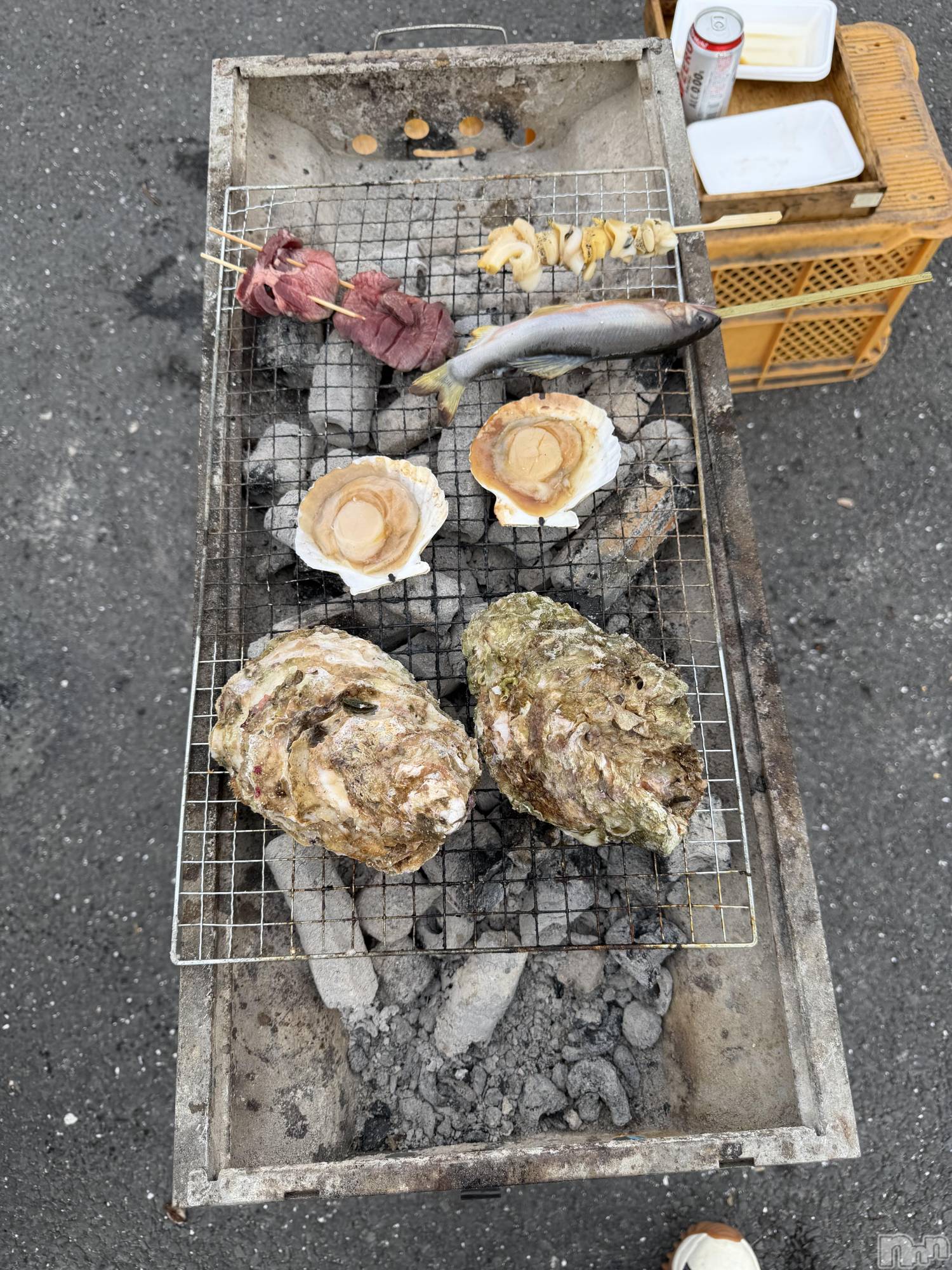 ��Į����Х��顦�����V-niigata-(�֥��˥�����) ��2026ǯ10��13���̥�֥�����🐚✨️��