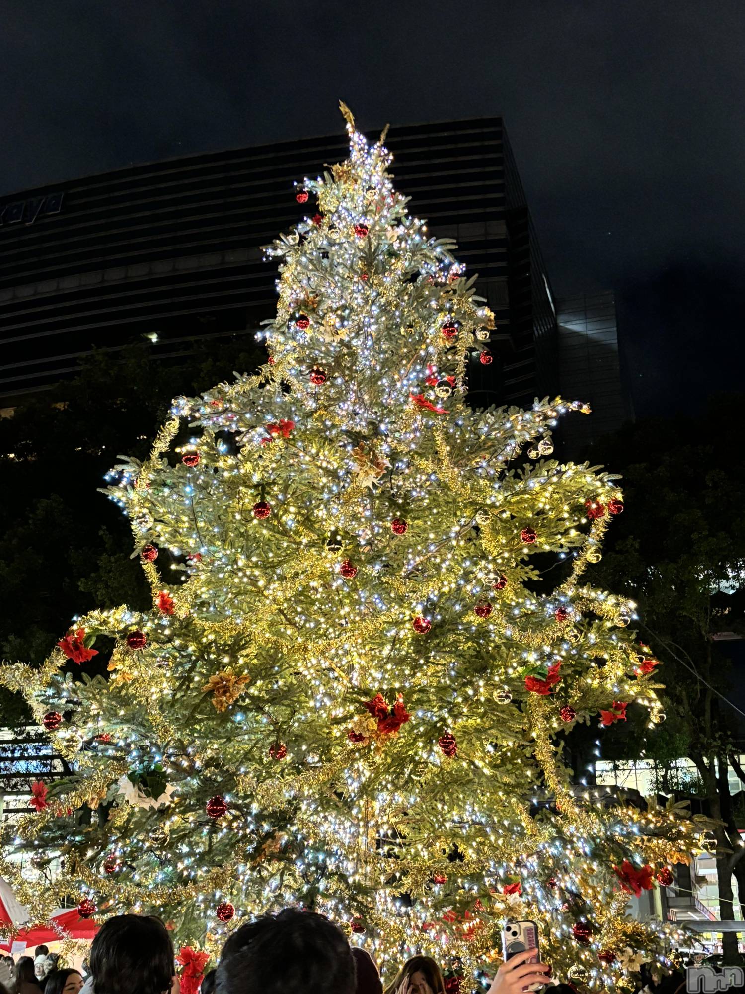 ��Į����Х��顦����֥���� �ץ���� ����(����� �ץ���� ������) ��2026ǯ10��21���̥�֥�����🎄.*��