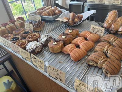 ��Į����Х��顦����֥���� �ץ���� ����(����� �ץ���� ������) ���ꡡ�ᤰ��9��11���̥�֥�����🥐‎🤍��