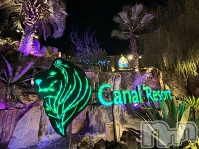 ��Į����Х��顦����֥���� �ץ���� ����(����� �ץ���� ������) ���ꡡ�ᤰ��10��7���̥�֥�����♨💭��