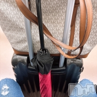 ����� �ץ���� ����