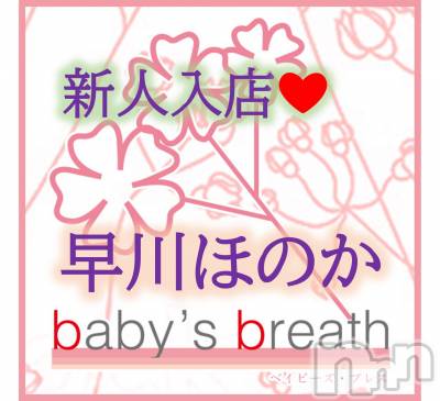 早川ほのか【新人】(ヒミツ) スリーサイズB().W.H。新潟メンズエステ baby's breath(ベイビーズブレス)在籍。