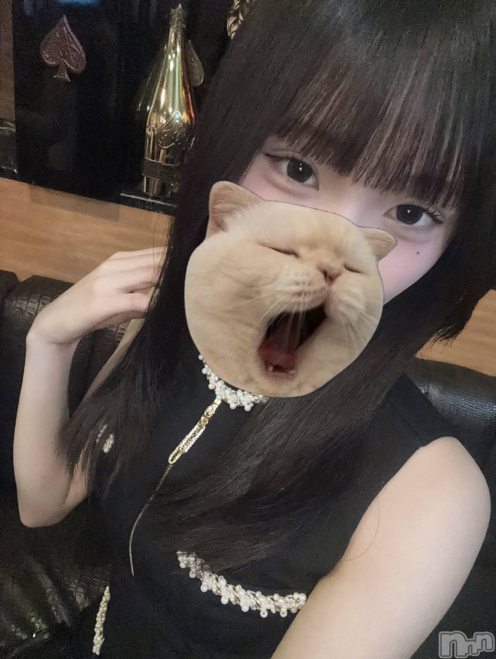 ��Į����Х��顦�����Lounge R Style(�饦�󥸥����륹������) ��2026ǯ9��10���̥�֥����ֿ�✨��