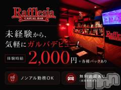 未経験歓迎！自分らしく働けるカジュアルバー♪
